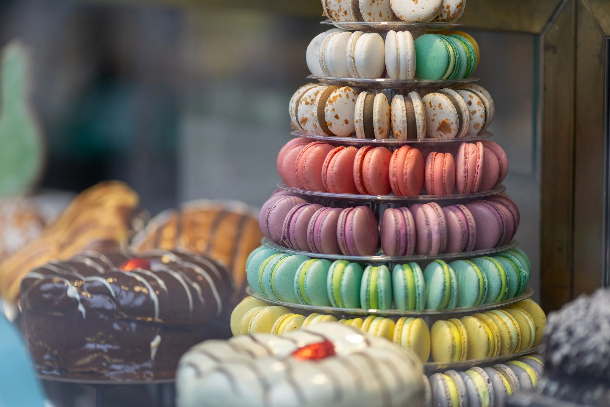 Colorful macarons in a pastry shop display case